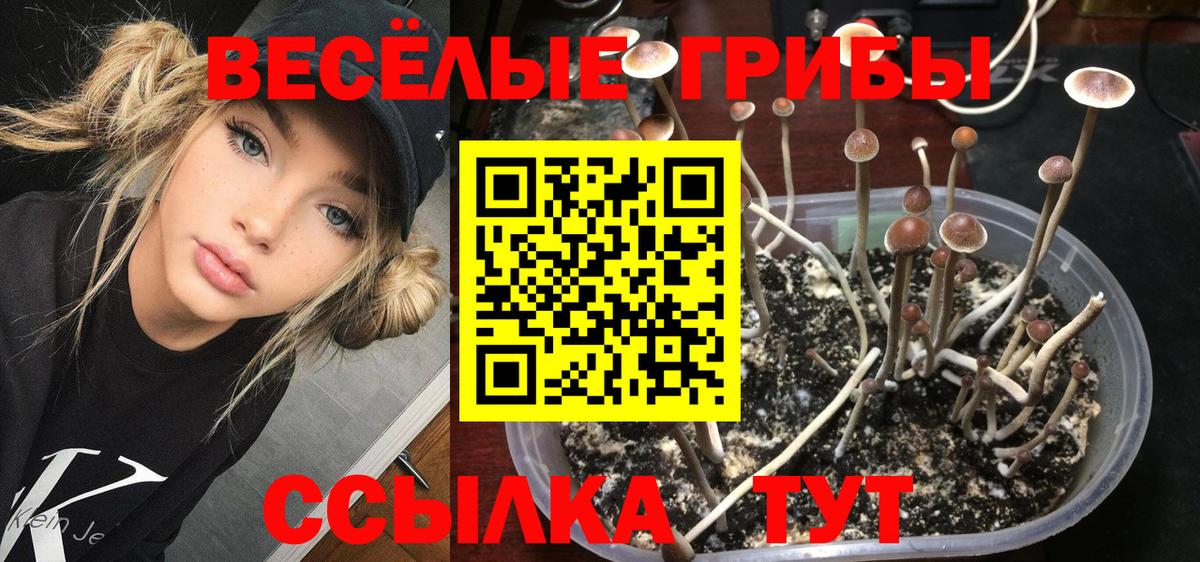 Галлюциногенные грибы GOLDEN TEACHER  Вход с VPN  Мурманск 