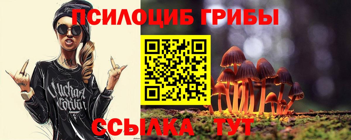 Галлюциногенные грибы Psilocybe Мурманск